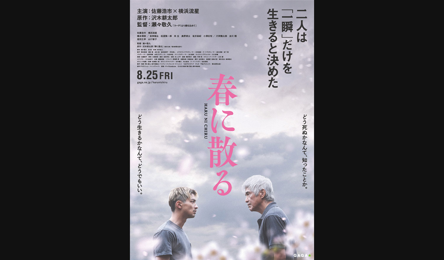 佐藤浩市×横浜流星主演作品『春に散る』 2023.8.25 ROADSHOW
